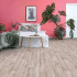 Линолеум Juteks Concord GOTICK OAK 3
