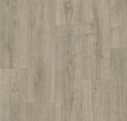 Линолеум Tarkett Sigma Coventry 1