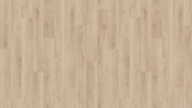 Линолеум Tarkett Drive SCOTCH 2